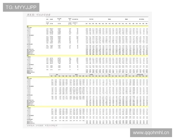 赫鲁斯蒂奇传球能力持续提升与表现稳健分析